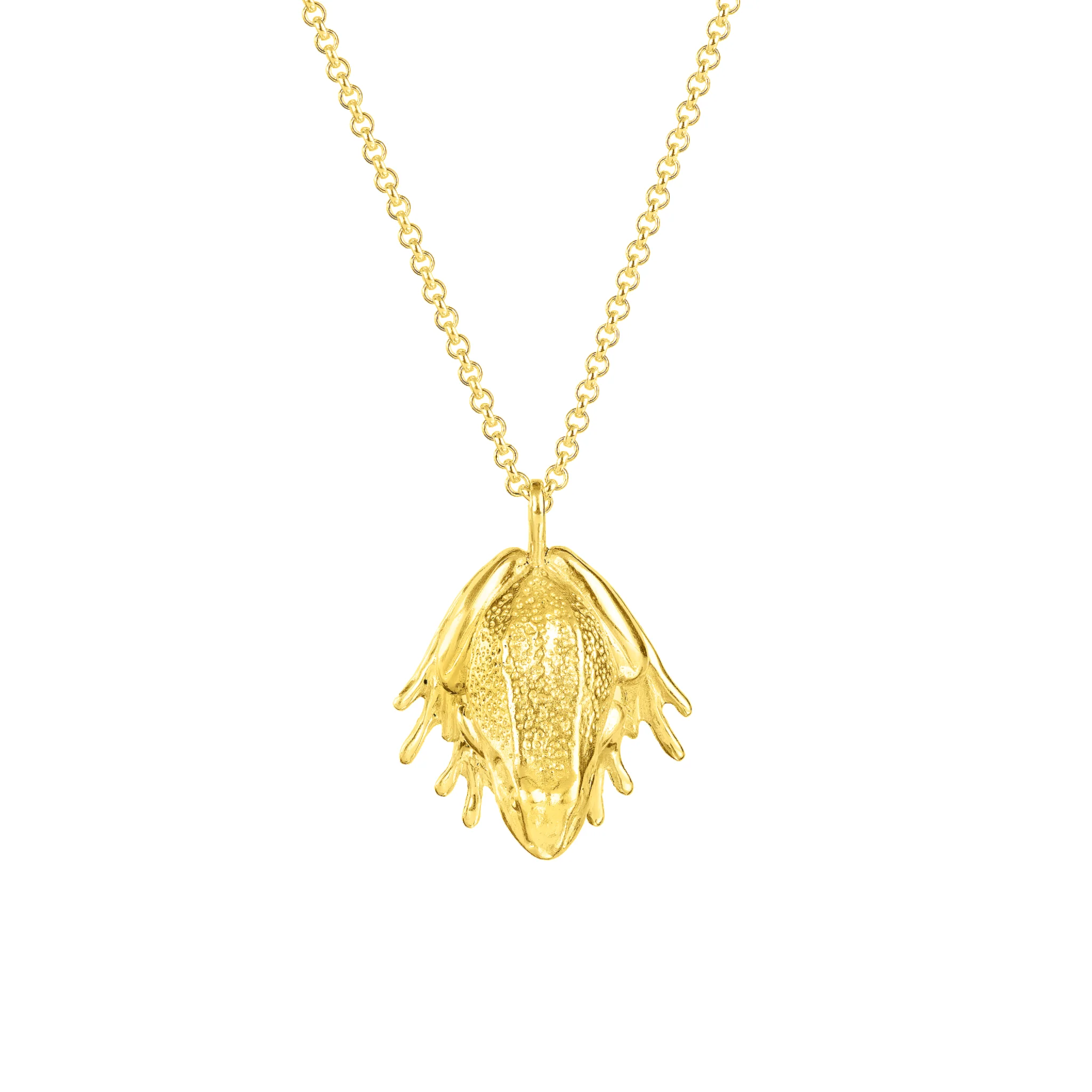 Frog Necklace (18ct Gold Plated)
