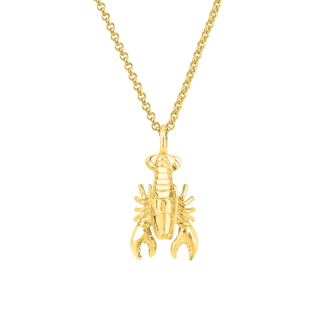 Lobster Necklace (18ct Gold Plated)